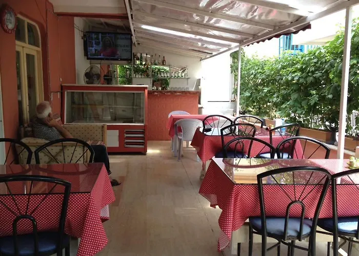 酒店 弗莱斯酒店 4*