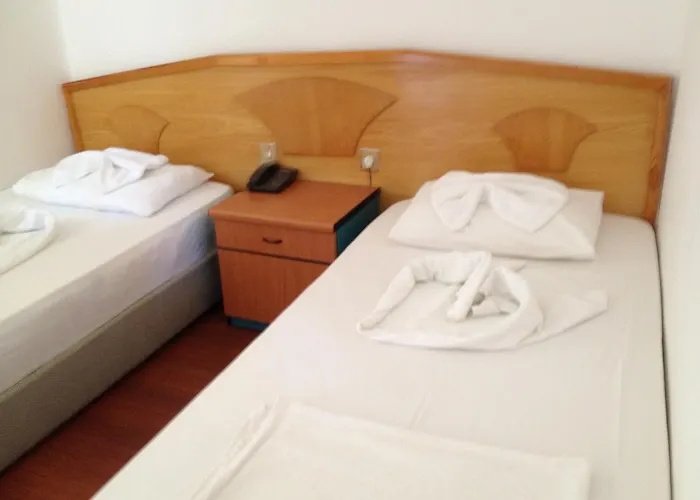 弗莱斯酒店 酒店