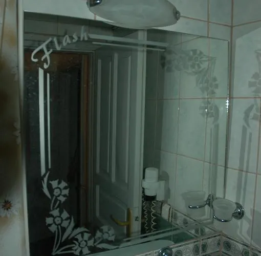 酒店 弗莱斯酒店