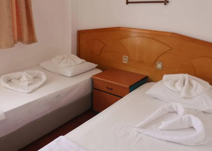 酒店 弗莱斯酒店